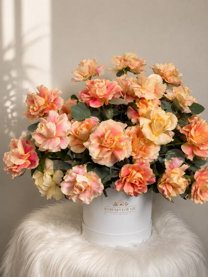 Rose Glow: peach rose in a gift box (view 2)